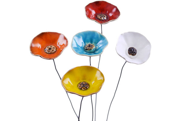 H0462M (2021-05-22 14:25:43)