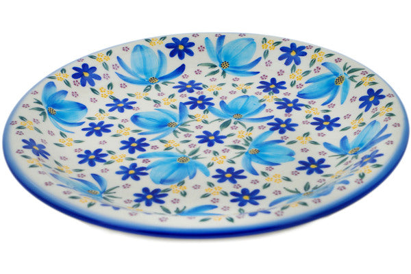 H4106P (2024-02-25 14:09:44)