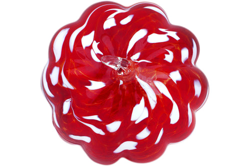 H5717N_1 (2022-10-30 07:07:49) H5717N_1 (2022-10-30 07:07:49)