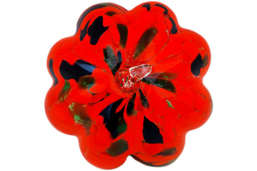 H5833N_1 (2022-11-17 13:53:56) H5833N_1 (2022-11-17 13:53:56)