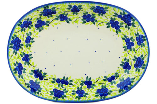 H7110N_1 (2023-06-26 08:49:06) H7110N_1 (2023-06-26 08:49:06)