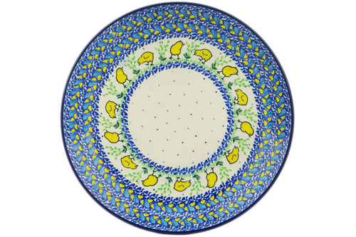 H9178Q (2025-04-17 09:47:34)