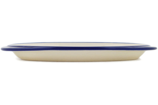 H9917P_2 (2025-04-06 06:58:01)