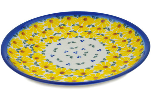 H1007P (2023-12-11 14:48:08)