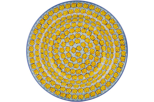 H7919Q (2025-07-20 14:17:28)