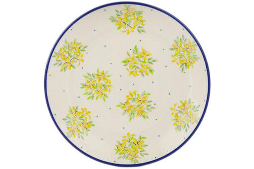 H8918Q (2025-05-20 11:43:06)